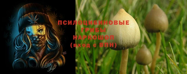 бутират Переславль-Залесский
