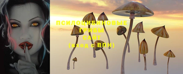 первитин Пересвет