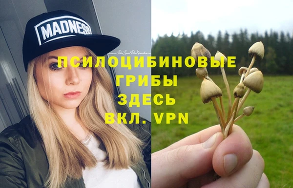 первитин Пересвет