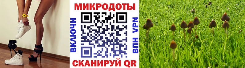 сколько стоит  Черногорск  ОМГ ОМГ зеркало  Псилоцибиновые грибы Psilocybine cubensis 